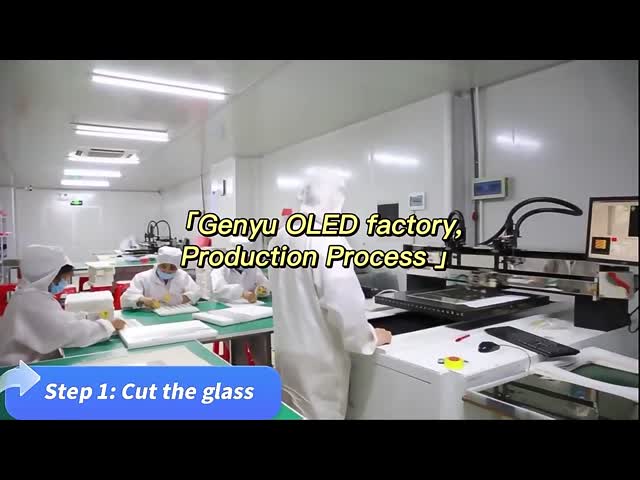 중국 Shenzhen Genyu Optical Co., Ltd. 회사 프로파일