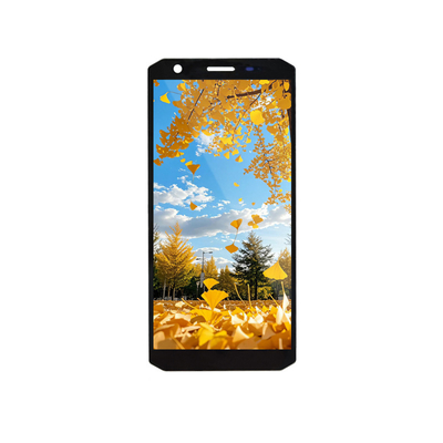 좋은 가격 5.45 Inch TFT LCD Display Module 720x1440 MIPI Interface 온라인으로